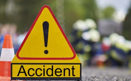 पाल्पामा ट्रक दुर्घटना हुँदा दुई जना घाइते 